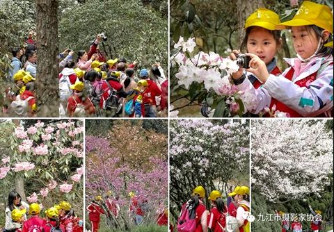 正在上傳... 正在上傳...