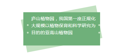 1685327809960954.png image.png
