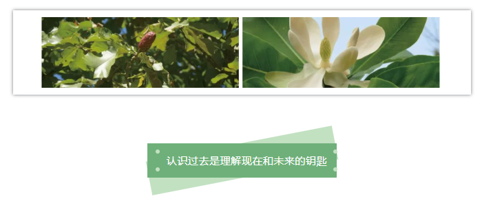 1685327881120029.png image.png